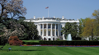 And Now the White House Has Climbed Aboard the AI Bandwagon